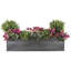 Handmade Window Box Planter