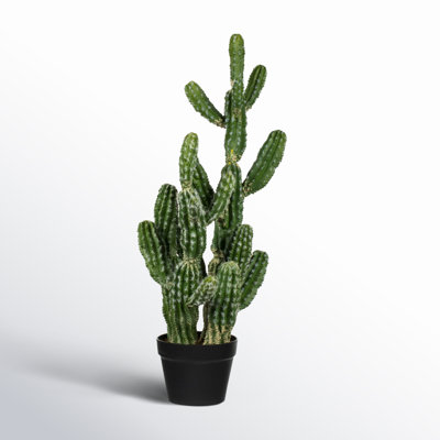 31'' Faux Succulent in Pot