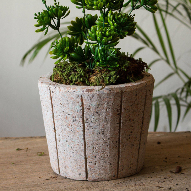 Abbylynn Handmade Pot Planter, Beige
