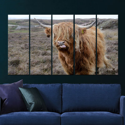 Reproduction d'art sur toile imprimée: Highland Catt in Scottish Landscape, toile tendue 5P