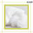Square Pillow Insert-1443949588