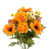 Tangerine is out of stock