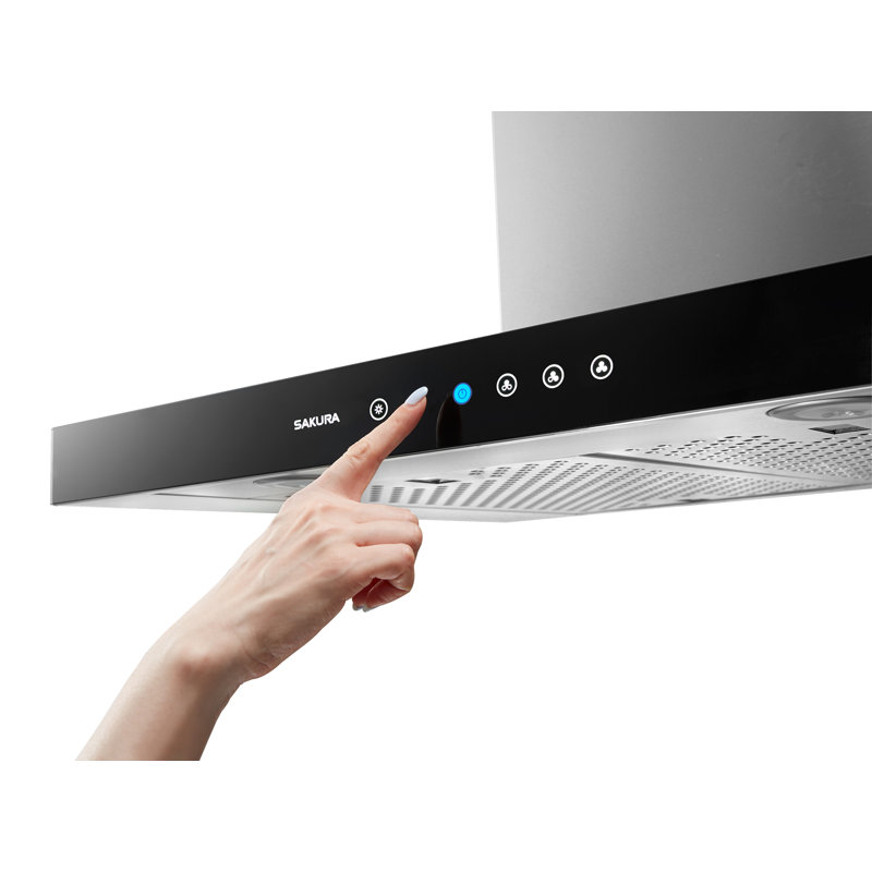 Hotte murale 29,75 "850 CFM à conduit en acier inoxydable