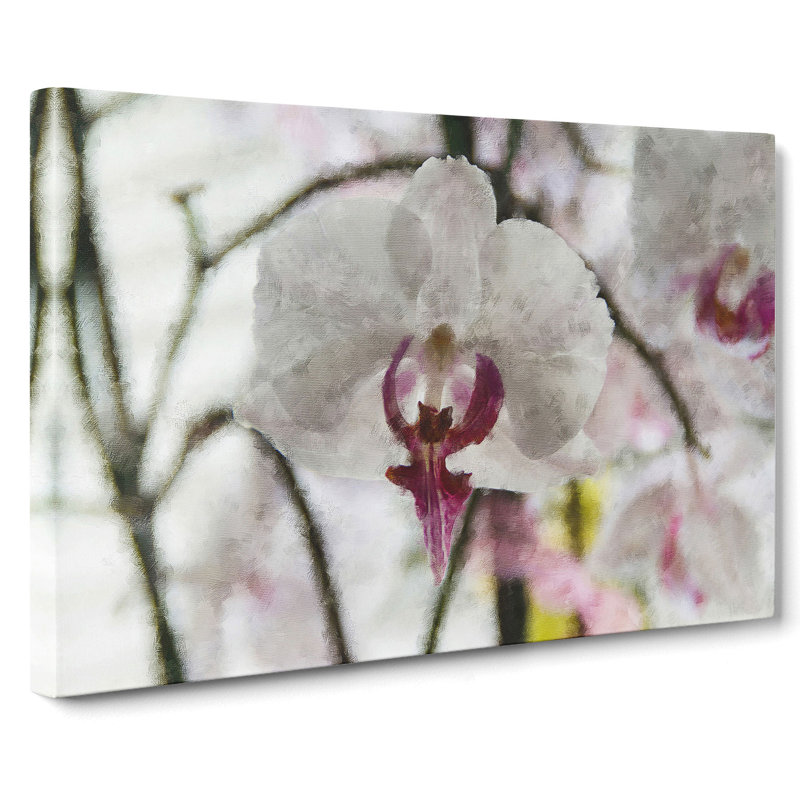 Orchid Flowers Vol.4 - Wrapped Canvas, 50cm H x 76cm W x 3cm D