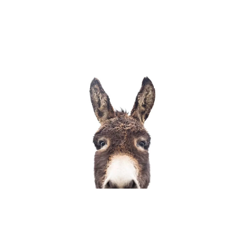 «Peeking Donkey» par Sissi & Seb - reproduction de photo, Toile tendue, Pas de tapis, 26" H x 40" W x1.5" D