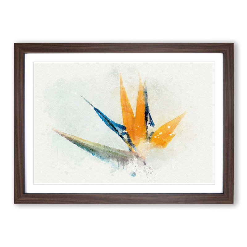 Bird of Paradise Flower in Abstract - Picture Frame Graphic Art Print on MDF, 36cm H x 48cm W x 2cm D, Walnut Framed