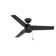 44" Cassius 3 - Blade Outdoor Standard Ceiling Fan with Pull Chain