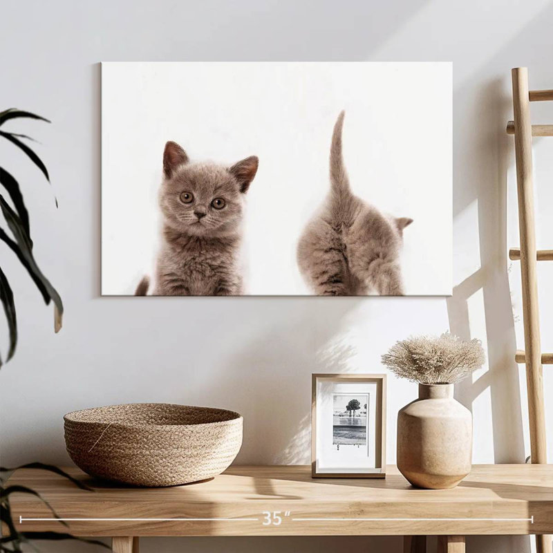 «Crowle Kitten» devant et derrière, H 16 po x l 24 po