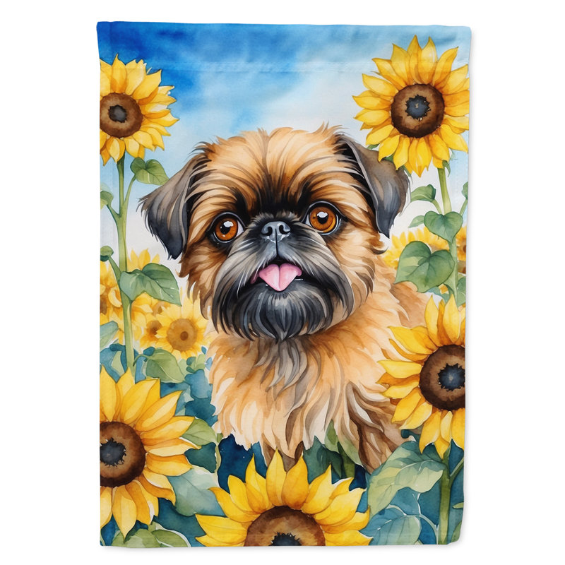 Lévrier irlandais dans le drapeau du jardin de tournesols, Griffon bruxellois