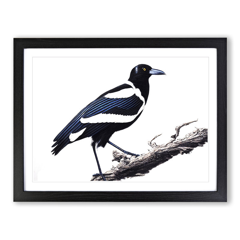 Fine Magpie Bird 1 Piece Single Picture Frame Painting, 46cm H x 64cm W x 2cm D, Black