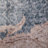 Covin Chenille Oriental Indoor Rug-28454004