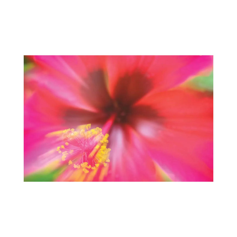 Pink Hibiscus Flower - Wrapped Canvas Print, 20.32cm H x 30.48cm W x 1.905cm D