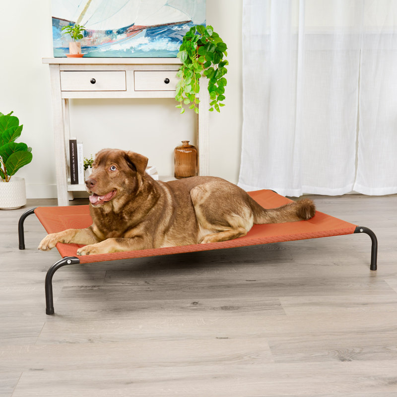 Elevated Cot Pet Bed, Red, 8" H x 36" W x 54.5" D