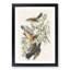 Thrush & Mountain Mocking Birds by John Audubon - Picture Frame Painting Print-55611222-55611229
