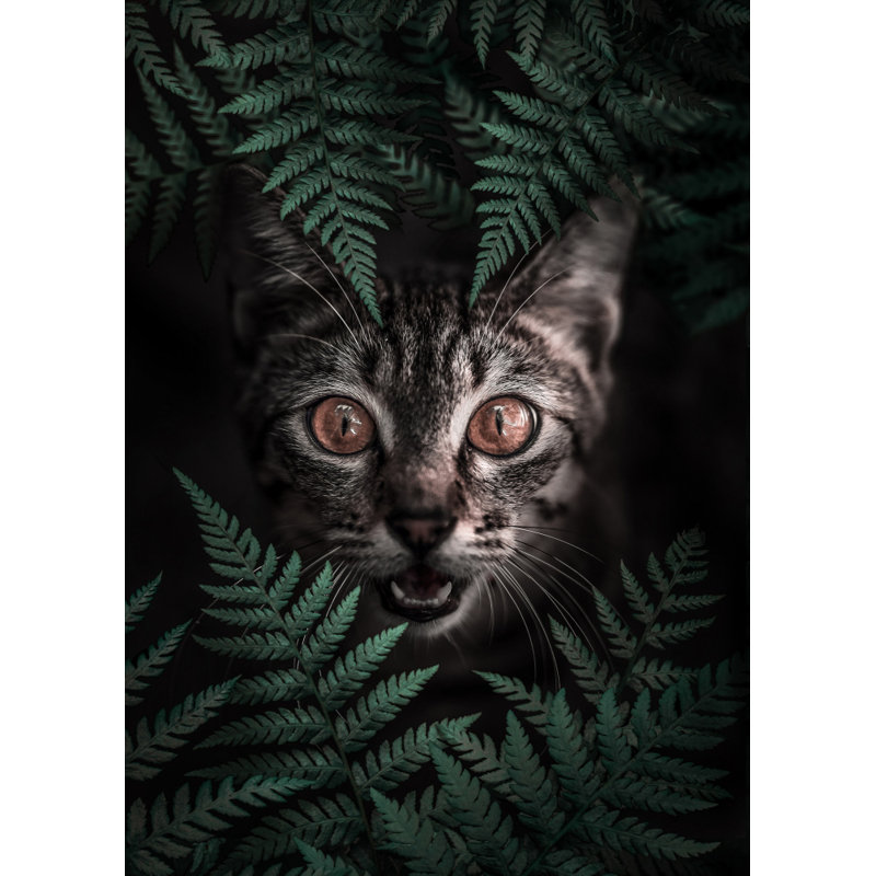 Wrapped Canvas Print, 121.92 cm H x 81.28 cm W