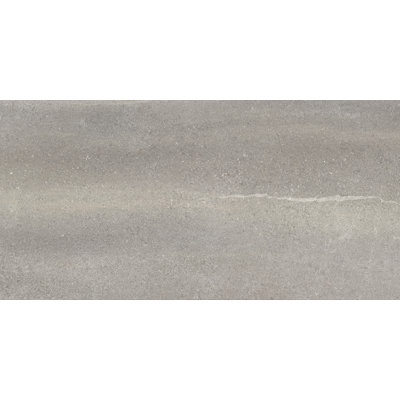 Core 10" x 20" Porcelain Field Tile in Gray