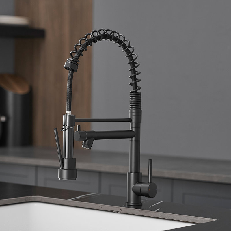 Robinet de cuisine noir avec robinet rétractable, acier inoxydable, rotatif à 360 degrés, robinet en acier à faible entretien, noir, levier unique, technologie de pointe pour la durabilité