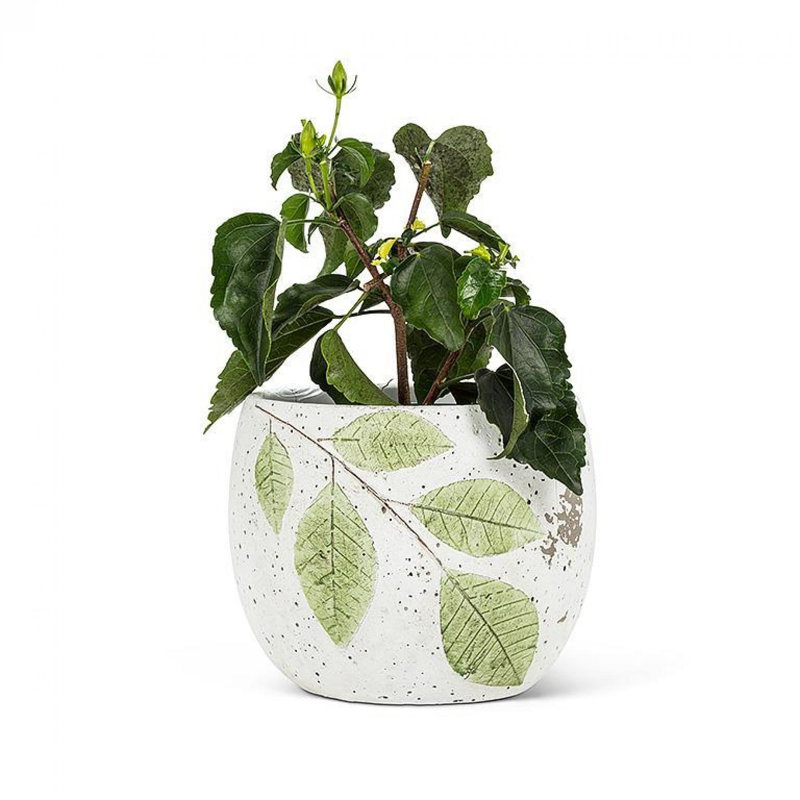 Feuilles sur un pot à fleurs