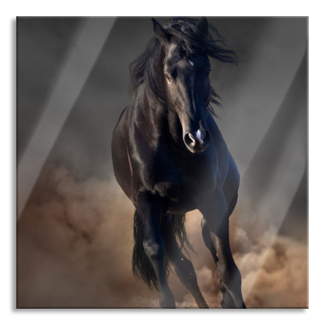 Glasbild Elegant Black Horse