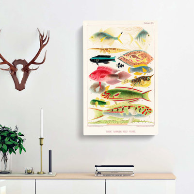 Great Barrier Reef Fishes XVI by W. Saville-Kent - Wrapped Canvas