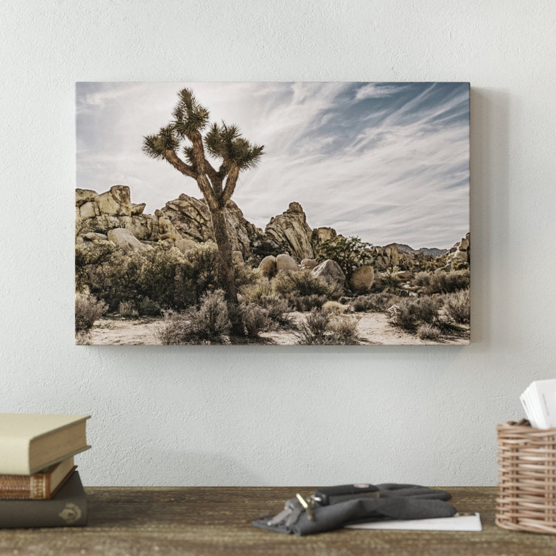 Views of Joshua Tree VIII by Rachel Perry - Photograph, 30cm H x 46cm W, Wrapped Canvas