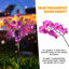 Solar Garden Lights Outdoor Phalaenopsis LED Flower Stake Lights Waterproof Garden Decor for Yard and Pathway