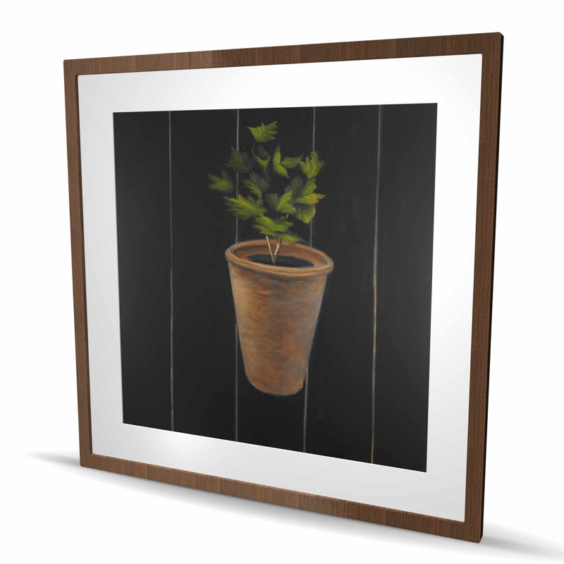 Plante de persil - impression botanique encadrée pour la décoration intérieure, Brun