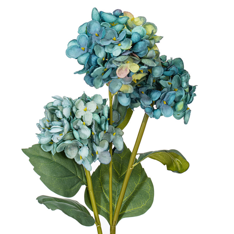 Tige d'hydrangée, Bleu
