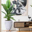 Multi-Directional Striped Egg Planter with Feet-590648293-590648292