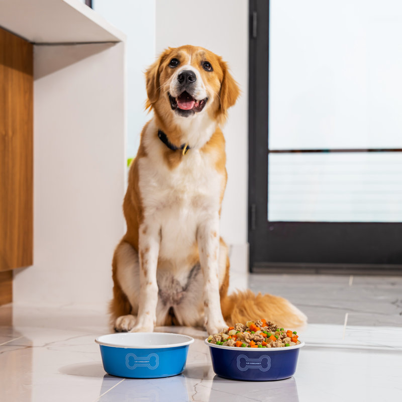 Pet Dog Bowl, Carmin, Large (6 cups)