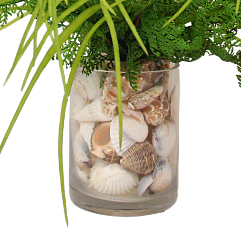 Allium et fougère floral dans un vase avec des coquillages