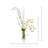 Orchid Arrangement with Vines
