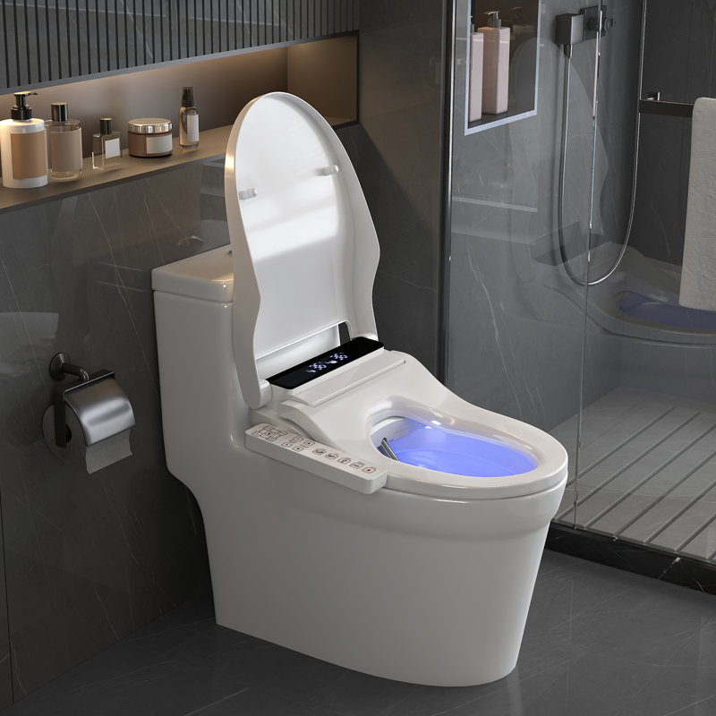 Smart Heated Toilet Seat With Self-cleaning Nozzle