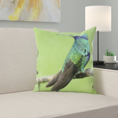 Coussin en jeté hummingbird