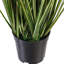 Herbe verte 60 po-88052039