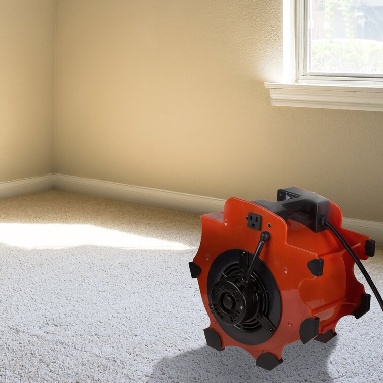 Carpet Dryer Air Blower, Floor Carpet Blower