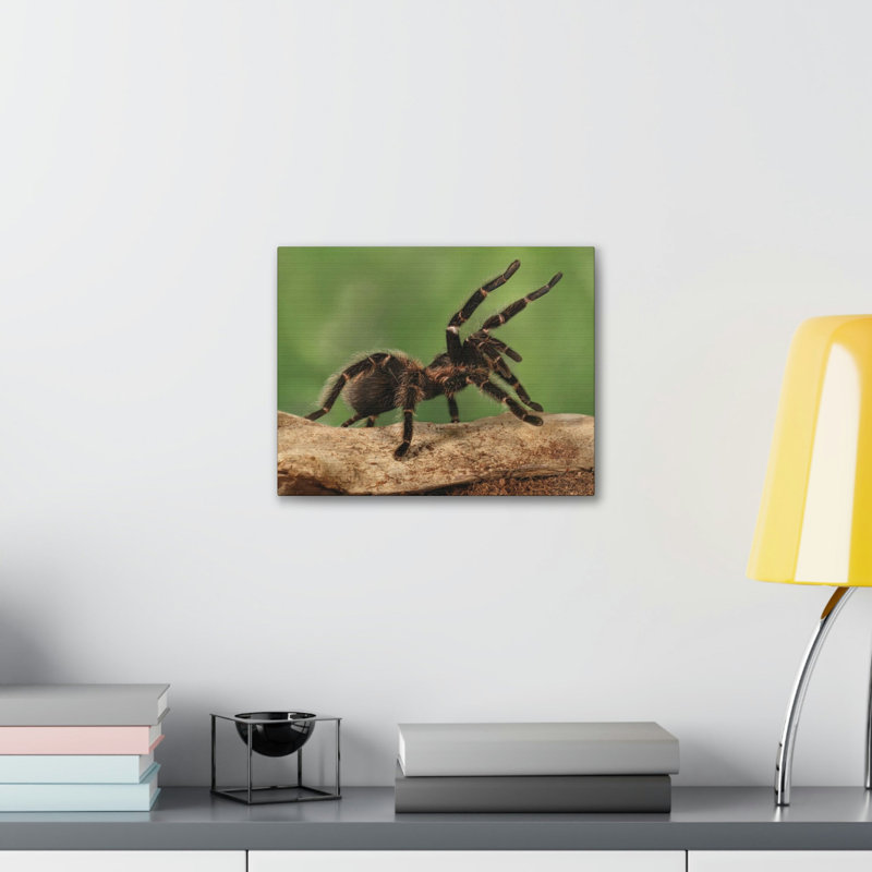 Wall Art on Canvas, 12cm H x 18cm W