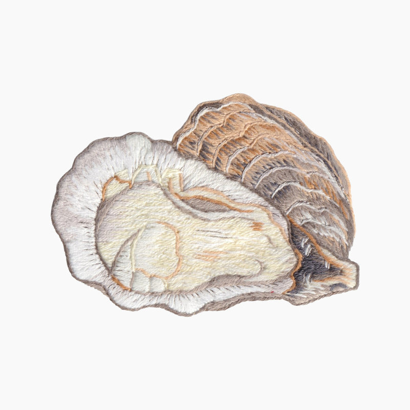 Oyster Tissue Box Cover