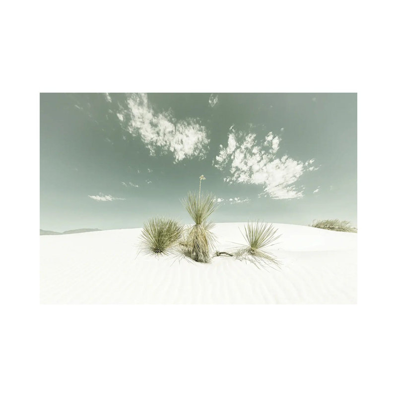White Sands Vintage by Melanie Viola - Wrapped Canvas Gallery-Wrapped Canvas Giclée, 66.04 cm H x 45.72 cm W