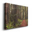 A Walk In The Woods I - Impression sur toile tendue-725322045