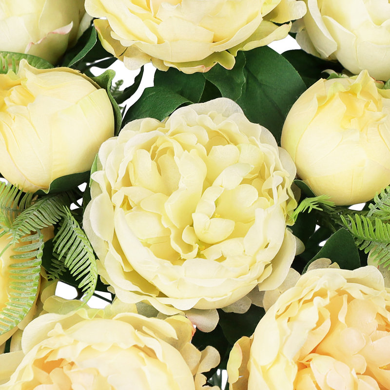 Tiges de pivoines, Champagne ivoire