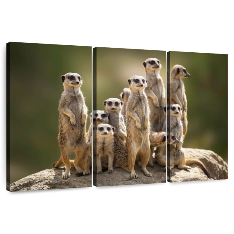 Famille de suricates Brampt, H 32 po x l 50 po