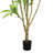 78" Artificial Dracaena Tree in Pot