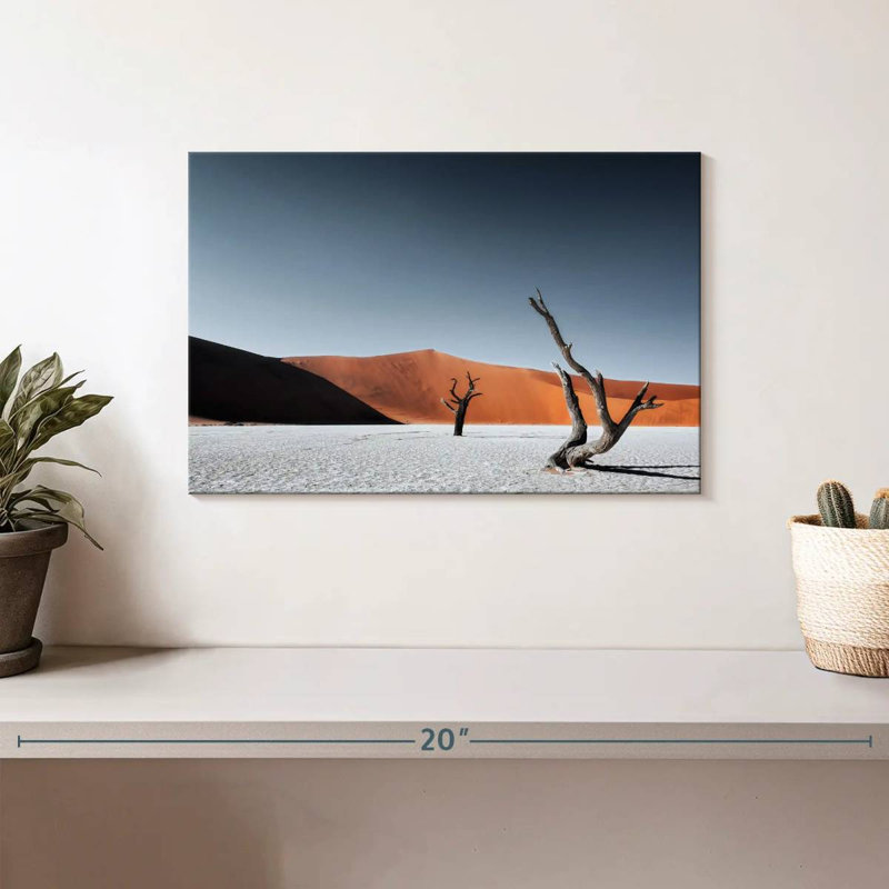 Dunes de sable d'Alvord