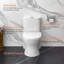 Toilette allongée une pièce à double chasse 1,22 / 1,6 GPF (siège inclus)