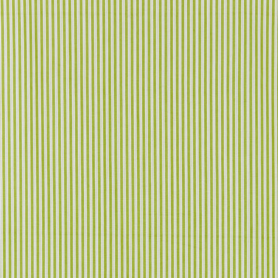 Chatham Kent Stripe Fabric