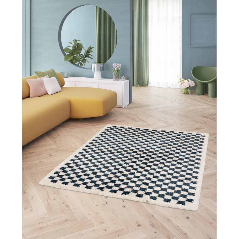 Barrile Chequered Machine Woven Area Rug, Rectangle 160 x 213 cm