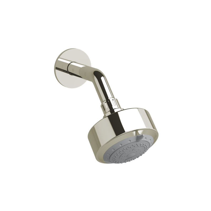 Multi Function Adjustable Shower Head, Polished Nickel