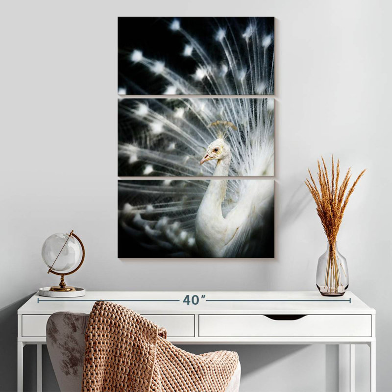 Rare White Peacock, H 32" x l 20"