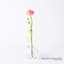 Clear Ring Flower Vase